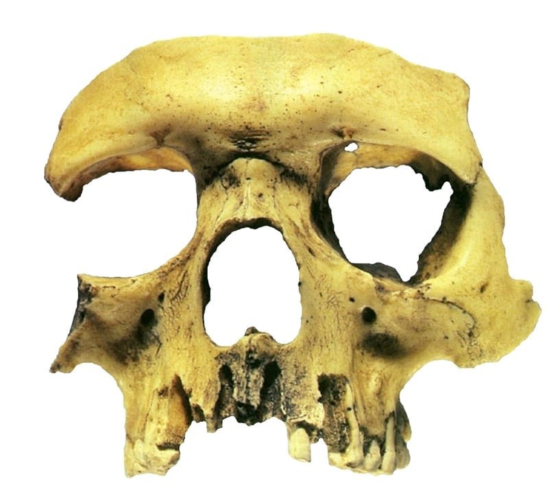 Náboženství bronzového věku a jeho výzkum, archeologická přednáška